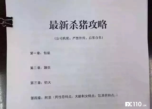 参透杀猪盘剧本,没人比我更懂恋爱
