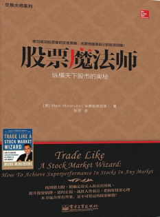 股票魔法师 纵横天下股市的奥秘