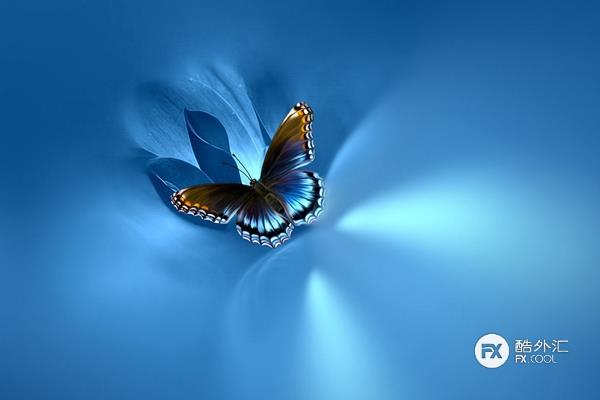 一种准确率超乎想象的货币交易策略 蝴蝶形态 酷汇讯新闻活动采访