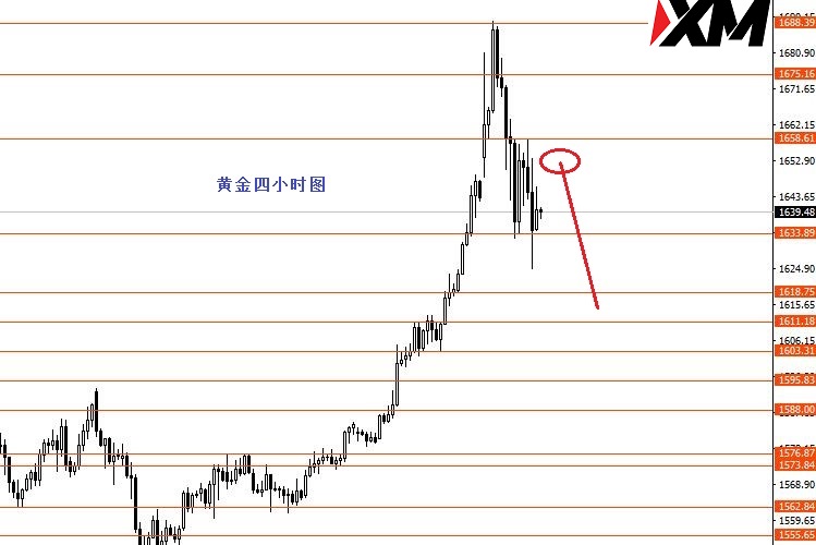 张果彤 PIC 04.jpg