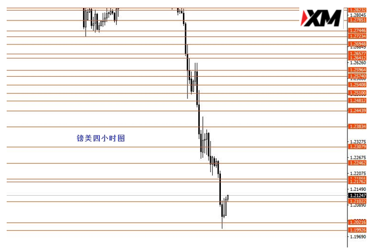张 3.png