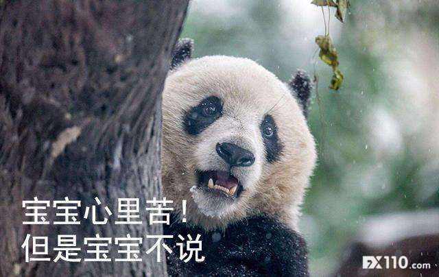 这个9年的栏目，推荐你一定要看看