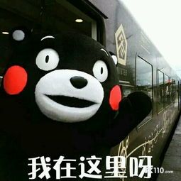 这个9年的栏目，推荐你一定要看看