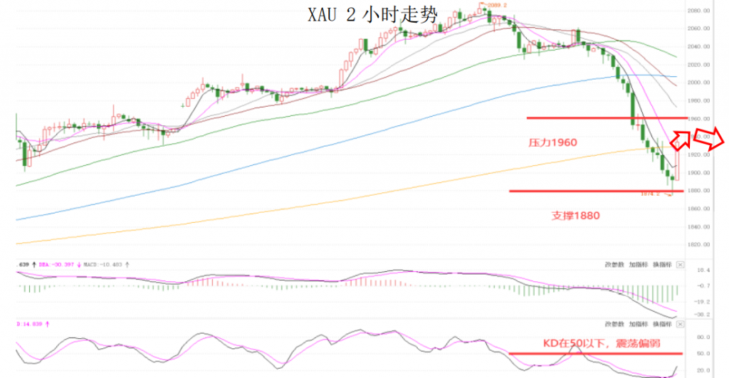 晚间专题07.png
