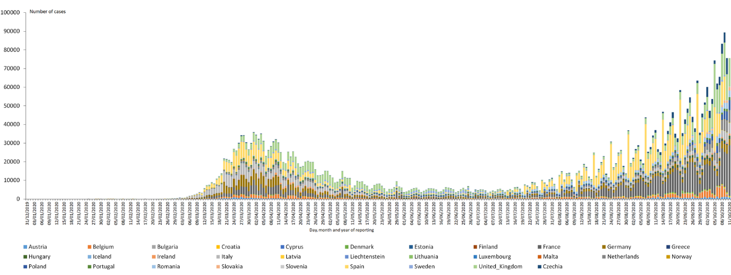D4.png