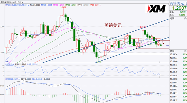 王萍 03.png