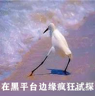 月榜 | 10月垃圾榜单已公布，这10家平台需重点预警！