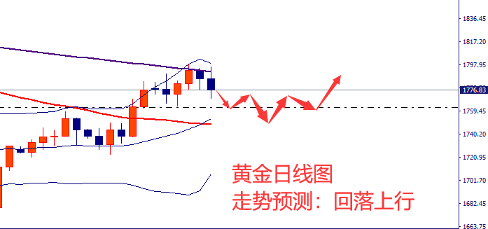 6-黄金.png