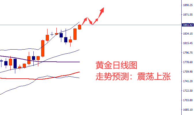 6-黄金.png