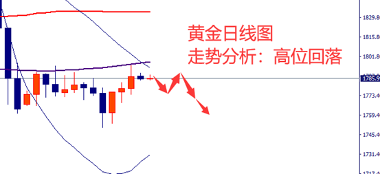 图片6-黄金.png