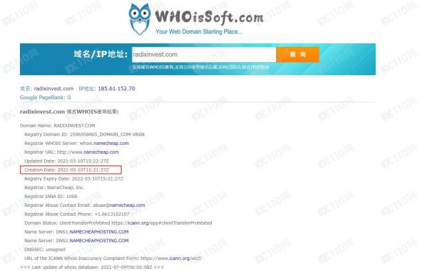 域名调查结果