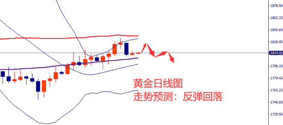 图片6-黄金.png