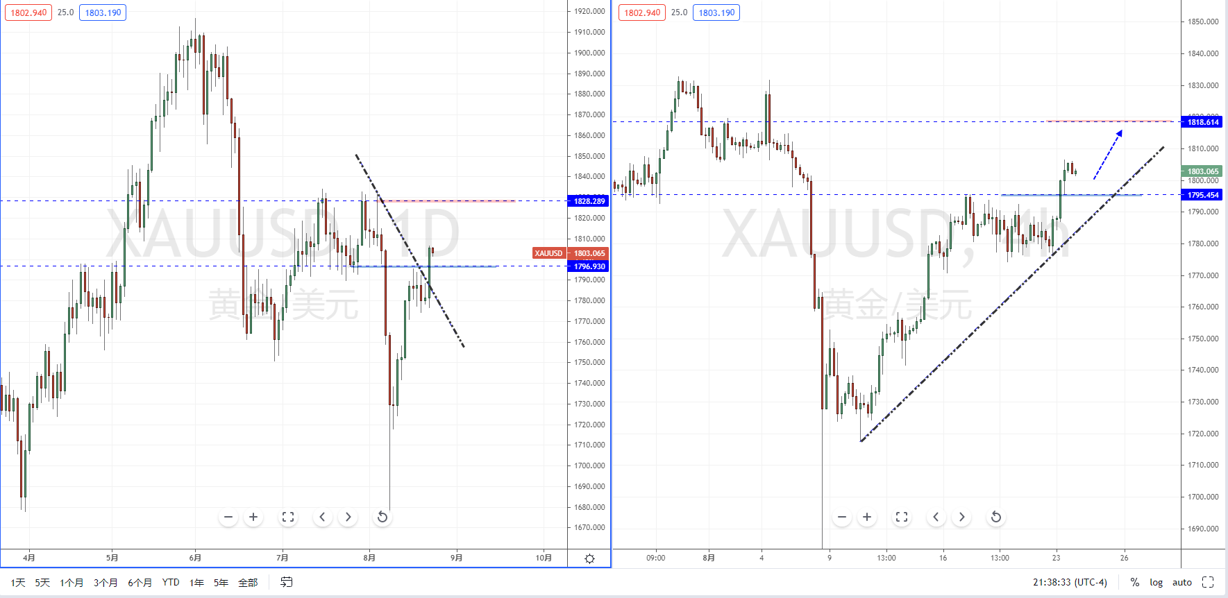 XAUUSD210824.png