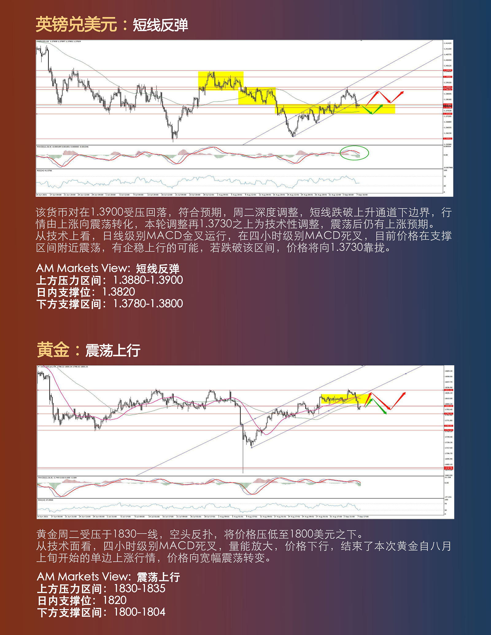 9.8AMMARKETS分析报告（美元反弹，黄金跌破千八，比特币闪崩，后市如何？）_03.jpg