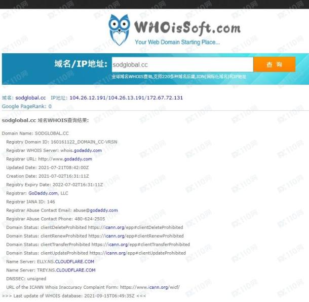 域名调查结果