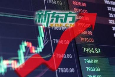 新东方在线再度大涨23%,10天涨幅达106%! 新东方在线再度大涨23%,10天涨幅达106%!
