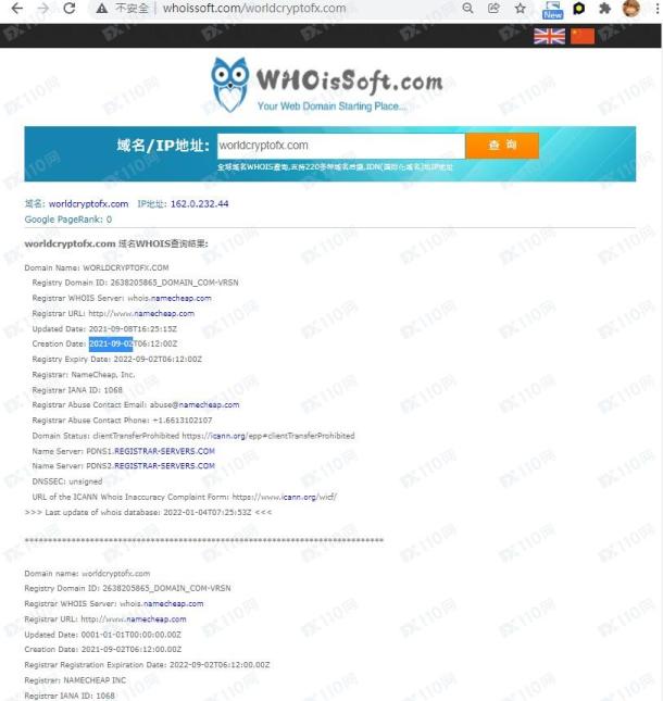 域名调查结果