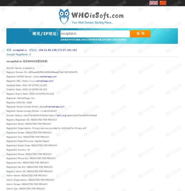 域名调查结果