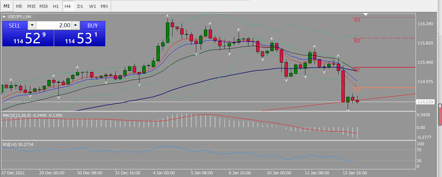 20220113 FP004USDJPY.png