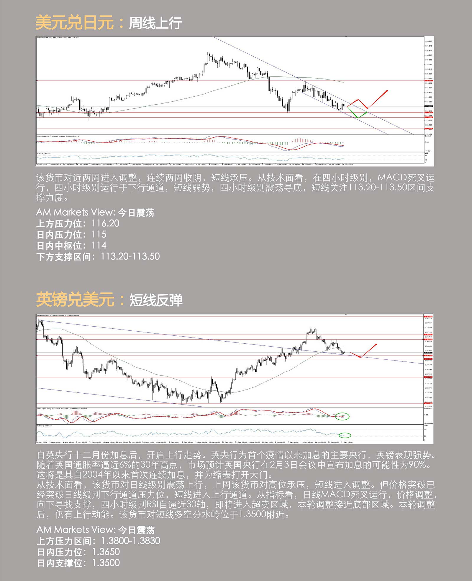 1.24AMMARKETS分析报告（非美货币分化，黄金企稳、原油盘整）_04.jpg