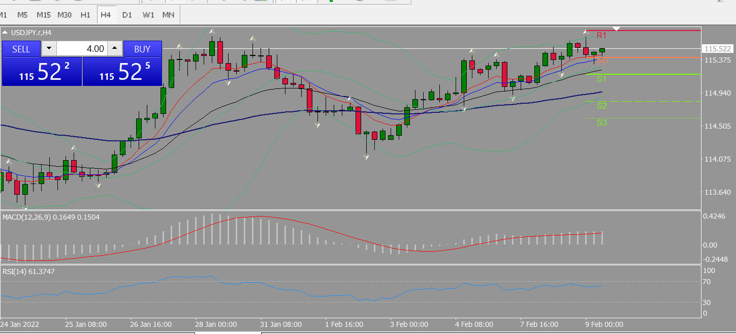 20220209 FP004USDJPY.png