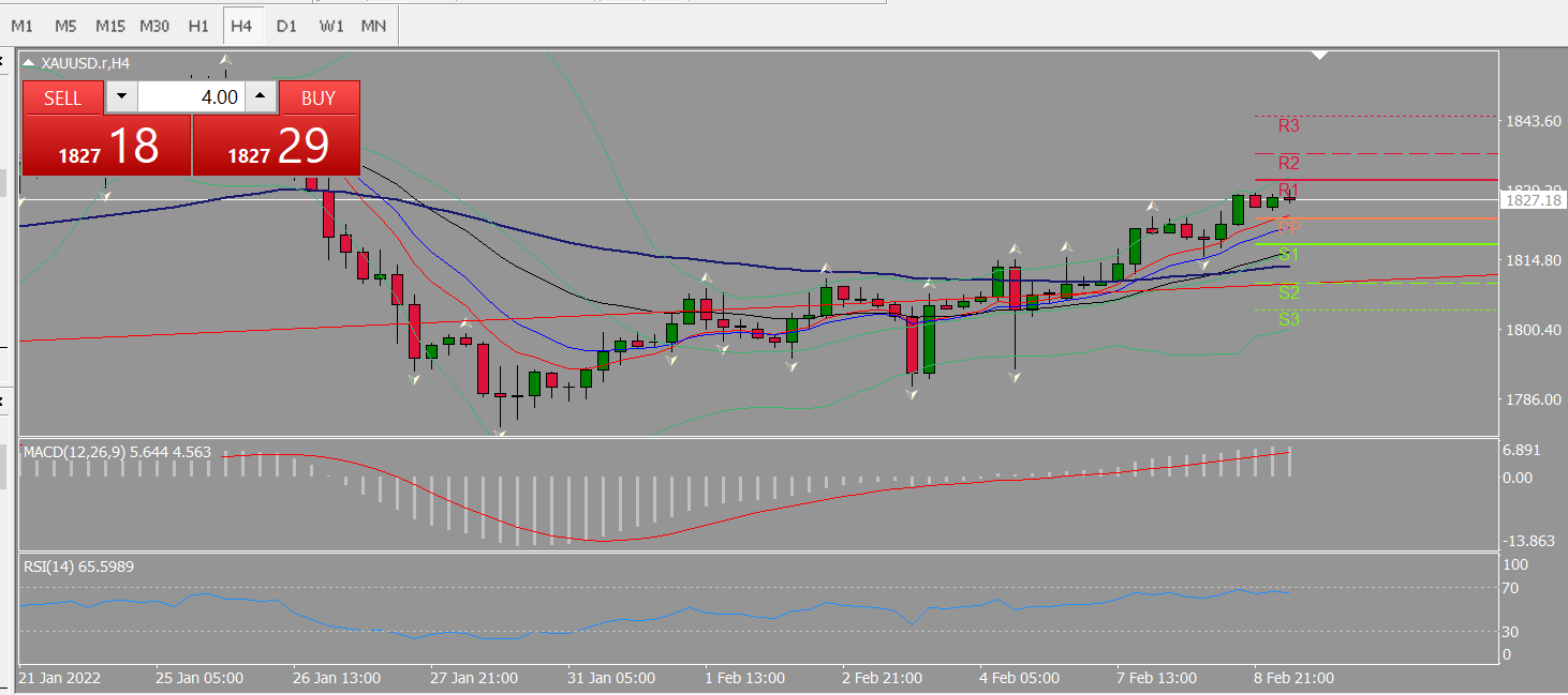 20220209 FP006XAUUSD.png