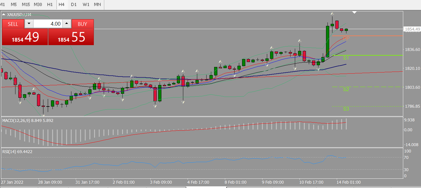 20220214 FP006XAUUSD.png