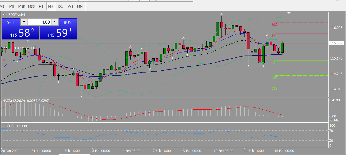 20220215 FP004USDJPY.png