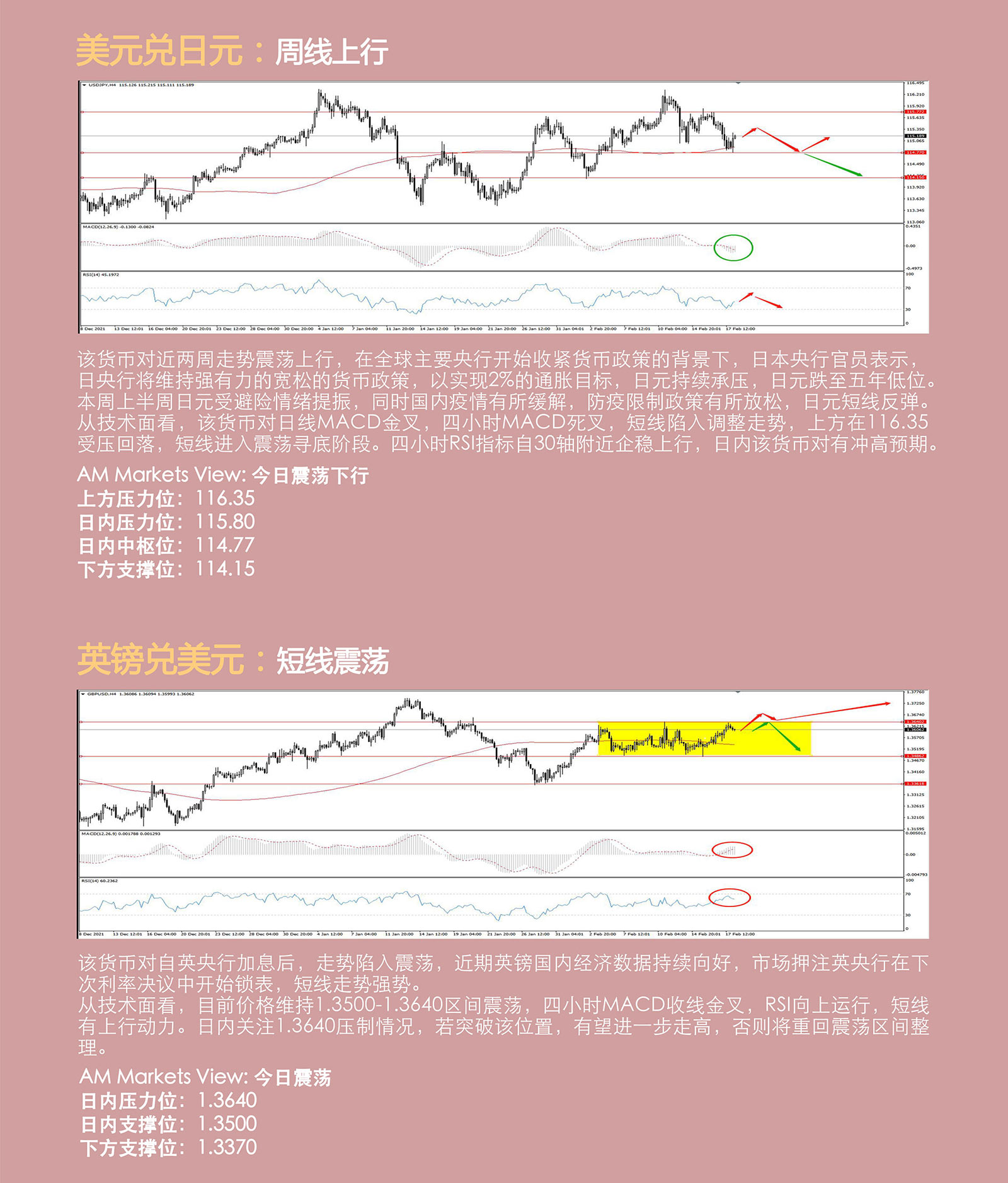 2.18AMMARKETS分析报告（俄乌局势牵动市场，黄金进入重压区）_04.jpg