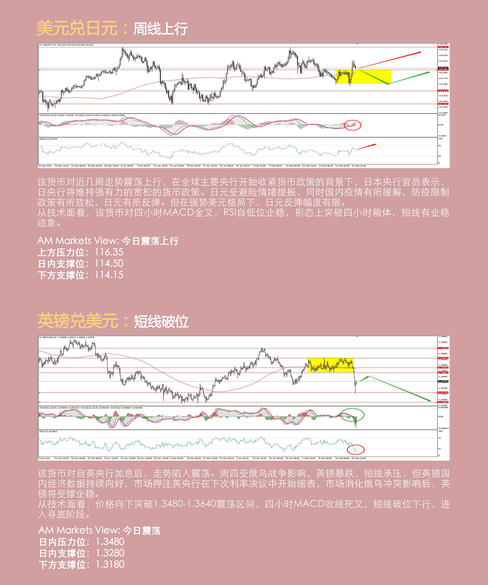 2.25AMMARKETS分析报告（俄乌战争或快速落幕，黄金、原油千点巨震）_04.jpg