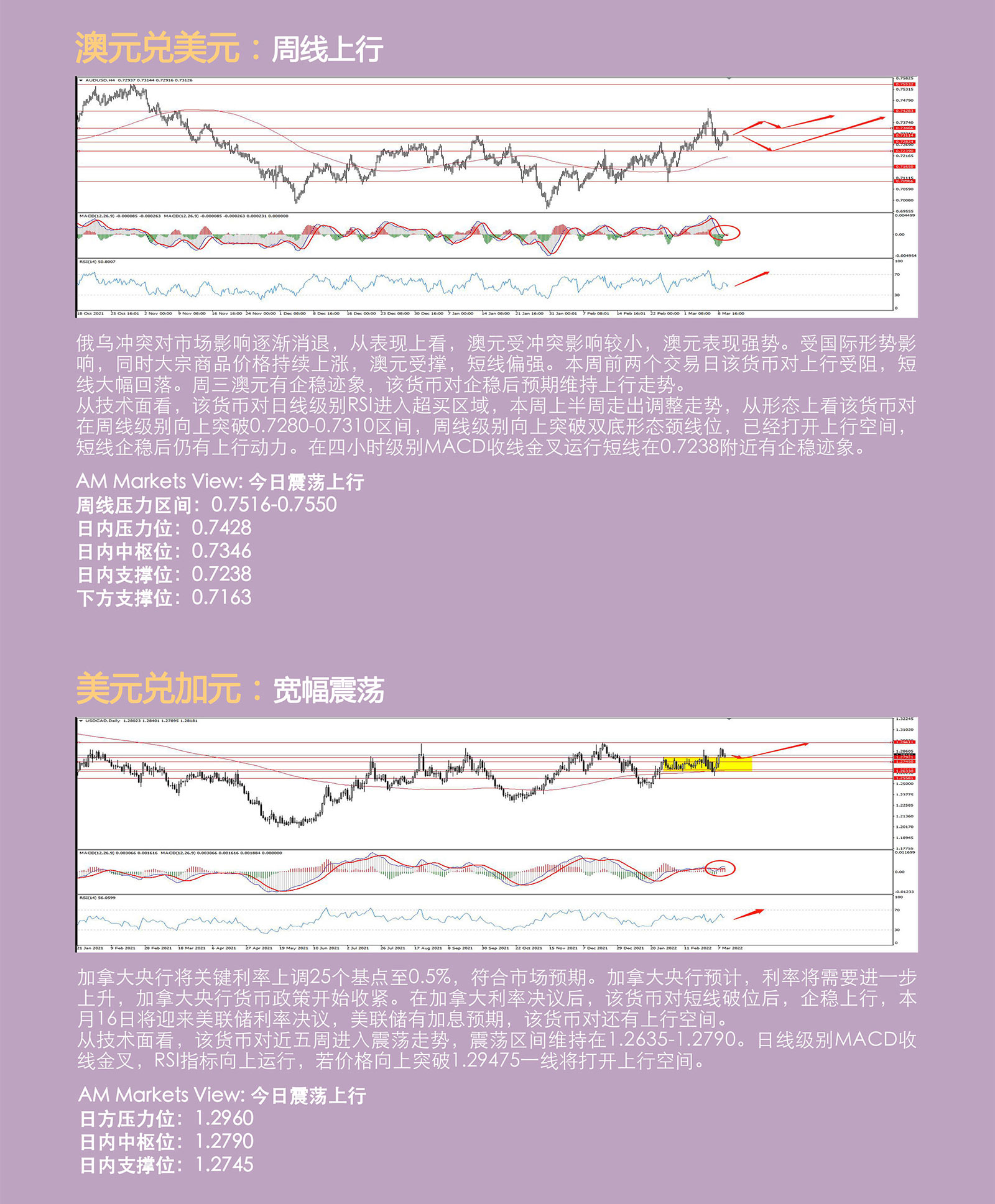 3.10AMMARKETS分析报告（利率决议提振欧元，黄金、原油遭获利盘了结）_04.jpg