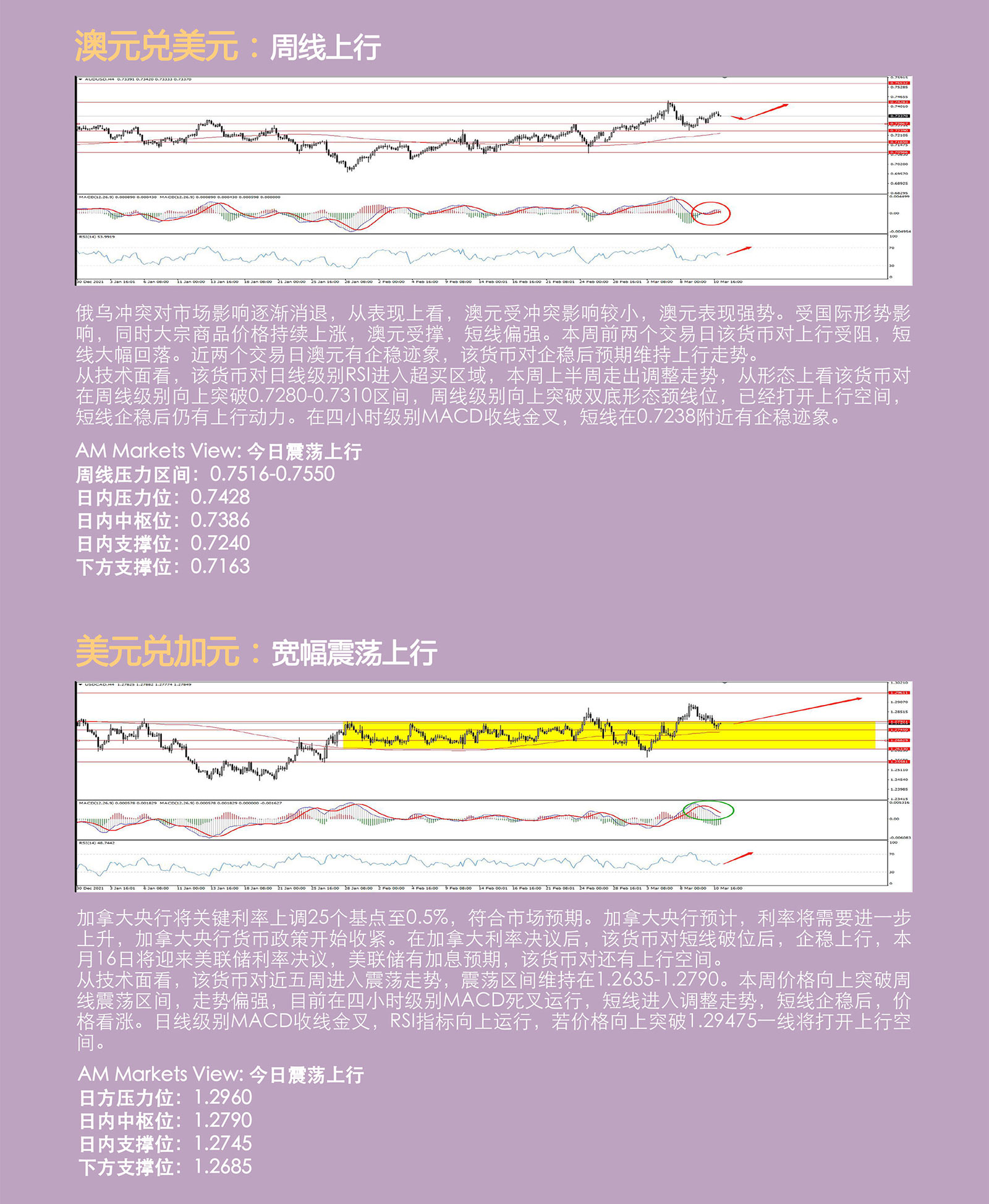 3.11AMMARKETS分析报告（欧元会后巨震，黄金、原油震荡寻底）_04.jpg