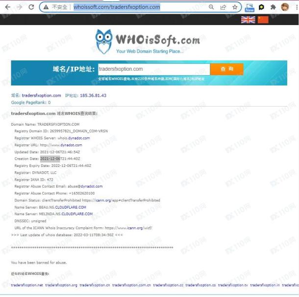 域名调查结果
