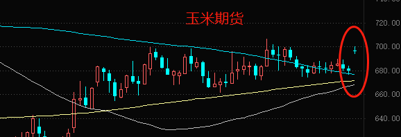 小麦2.png