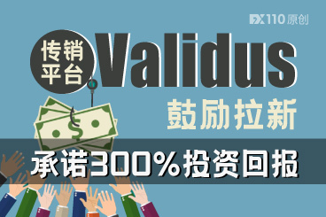 鼓励拉新,承诺300%投资回报,传销平台Validus摊上事儿了! 鼓励拉新,承诺300%投资回报,传销平台Validus摊上事儿了!
