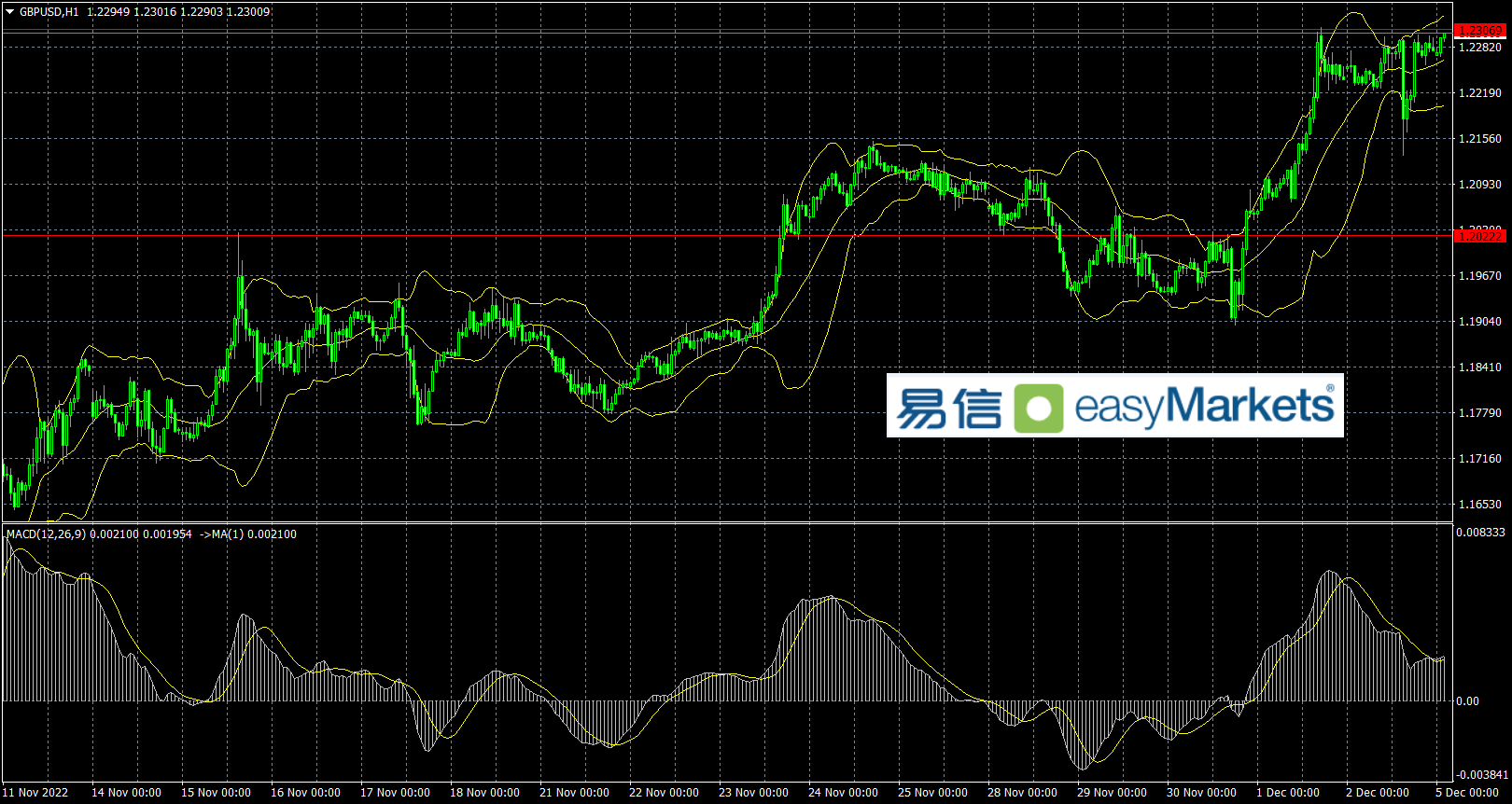 738C5381-B60A-45DB-9702-E68BC0DB191D.png