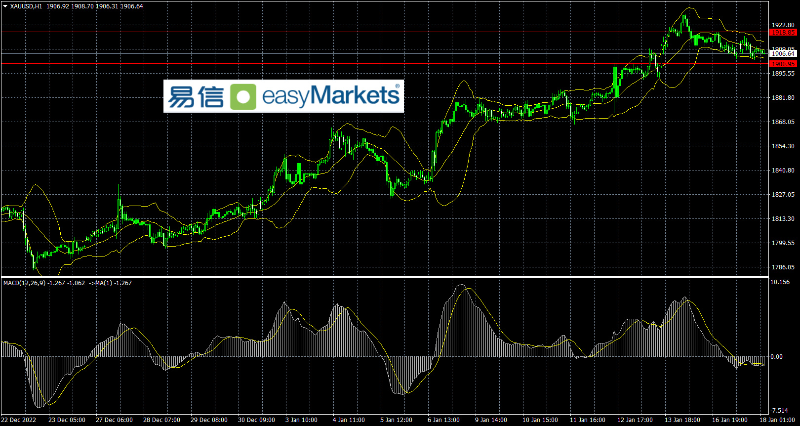 BD7A888E-EA03-4554-A192-C7EBF8361CD1.png