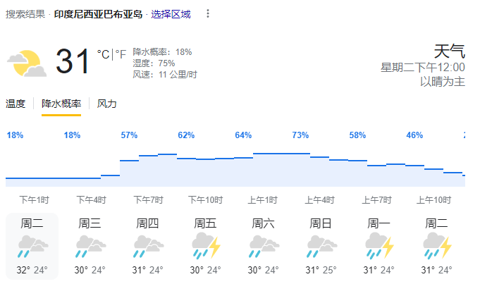 暴雨.png