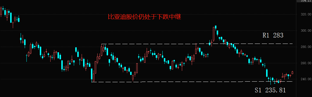 比亚迪2.png