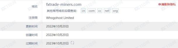 域名调查结果
