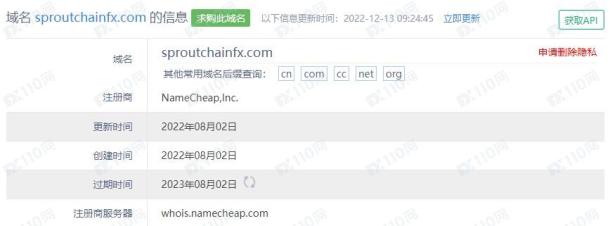域名调查结果