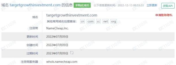 域名调查结果