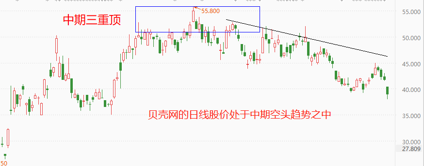 贝壳1.png
