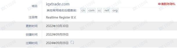 域名调查结果