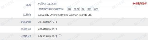 域名调查结果