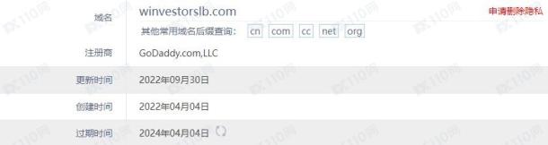 域名调查结果