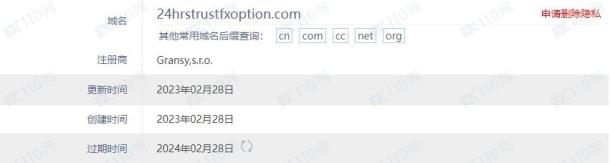 域名调查结果