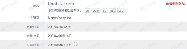 域名调查结果
