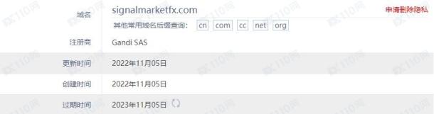 域名调查结果