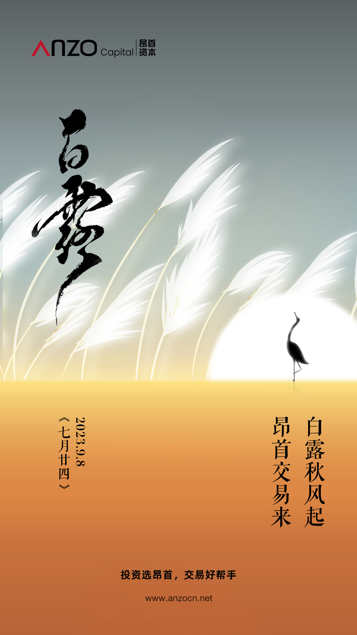 白露253.2.jpg